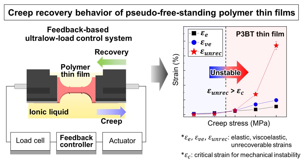 Unveiling the Creep Recovery Behavior of Pseudo Free-Standing Polymer Thin Films for Wearable Electronics