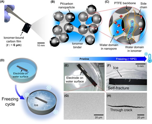 Prevention of Frost-Driven Self-Fracture of Ionomer-Bound Carbon Films by Controlling Freezable Water Domain Size