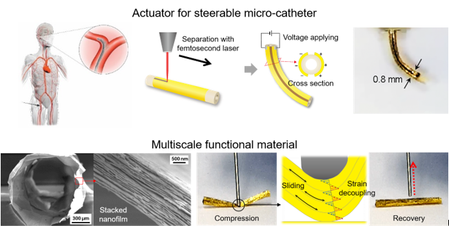 Demonstration of the tubular EAP actuator & free-standing nanofilm tube