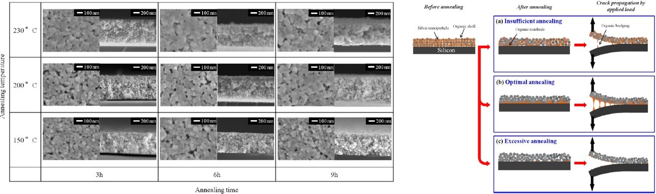 Nanoparticle/nanowire