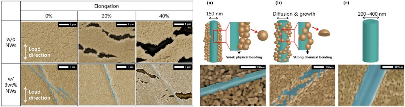 Nanoparticle/nanowire
