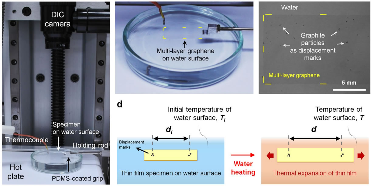 Thin film CTE measurement
