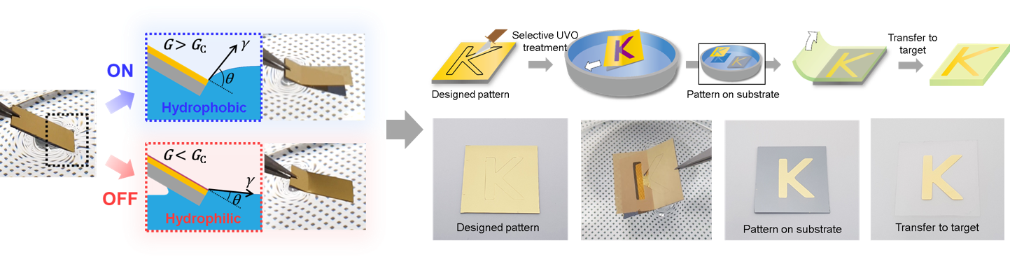 Research background