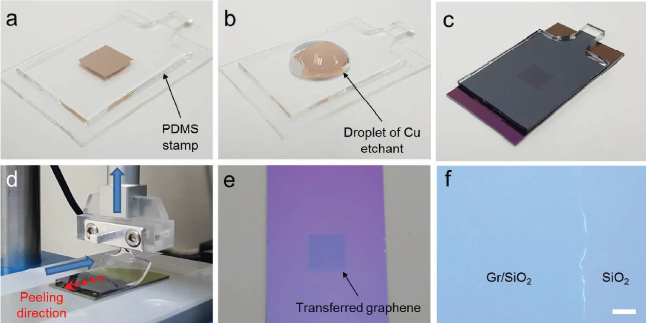 Transfer printing for monolayer graphene to SiO2/Si substrate using PDMS stamp